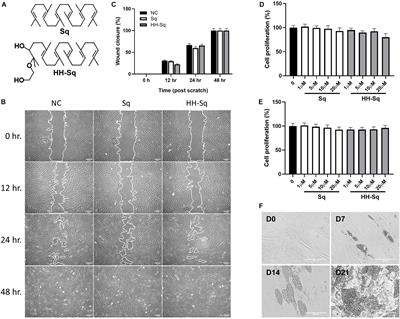 New Amphiphilic Squalene Derivative Improves Metabolism of Adipocytes Differentiated From Diabetic Adipose-Derived Stem Cells and Prevents Excessive Lipogenesis